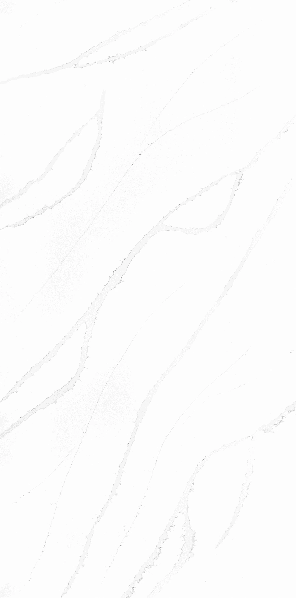 Calacatta Veneto — пример работы