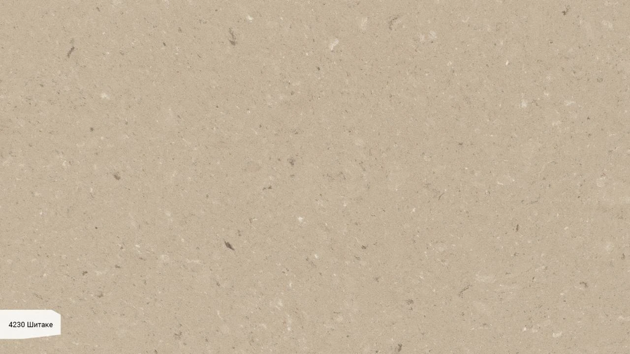 Shitake