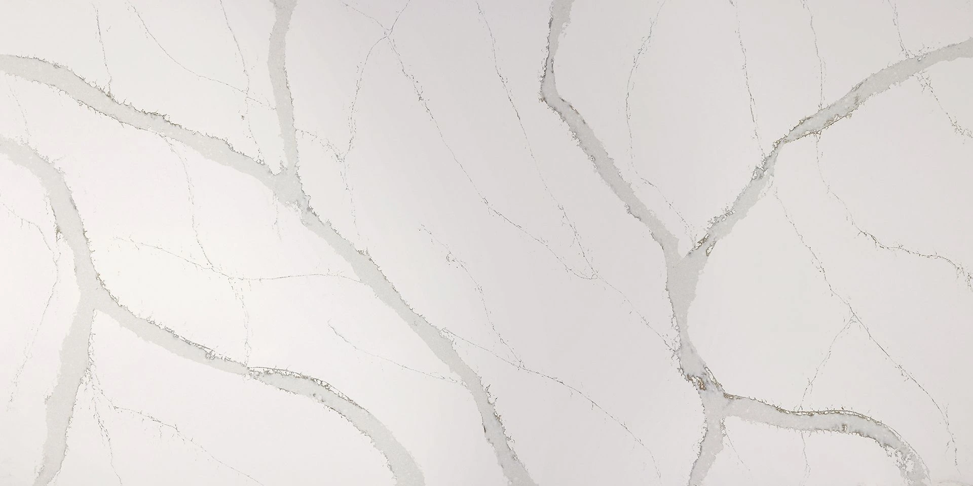 Calacatta Oro