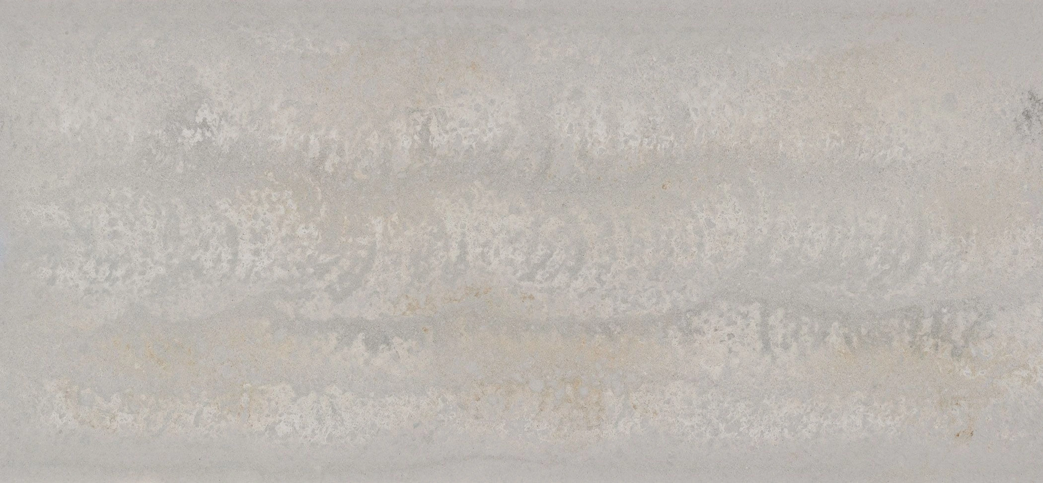 Primordia