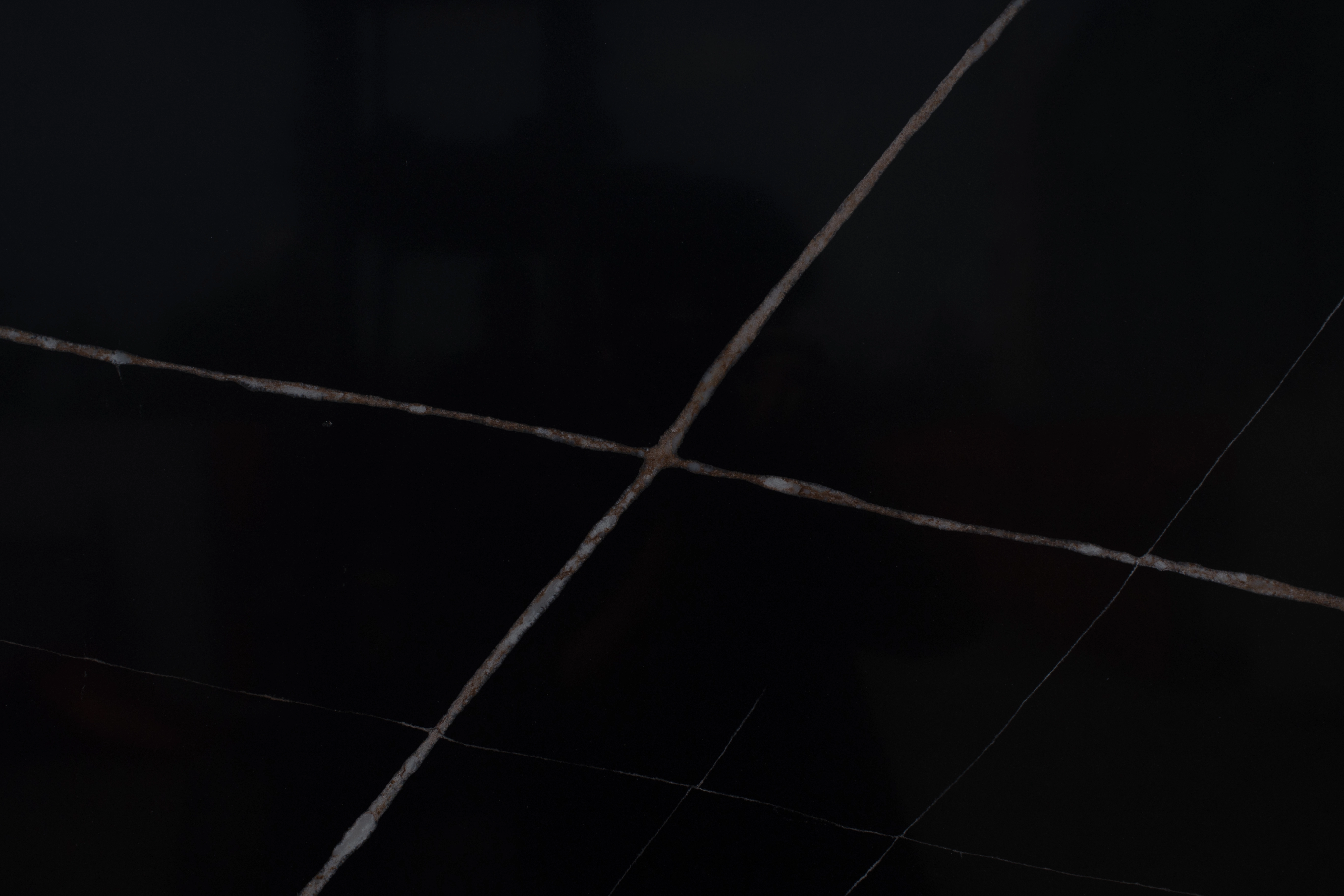 Sahara Noir